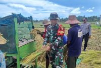 Foto : Anggota Koramil 17/Dungkek Kodim 0827/Sumenep Praka Fathur Rosi melaksanakan pendampingan panen padi, di Dusun Sempajung, Desa Bunpenang, Kecamatan Dungkek, Kabupaten Sumenep