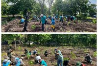 Foto : Sebanyak 1.500 bibit pohon ditanam di area hutan kota di TPA Torbang