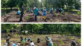 Foto : Sebanyak 1.500 bibit pohon ditanam di area hutan kota di TPA Torbang