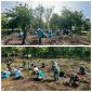 Foto : Sebanyak 1.500 bibit pohon ditanam di area hutan kota di TPA Torbang