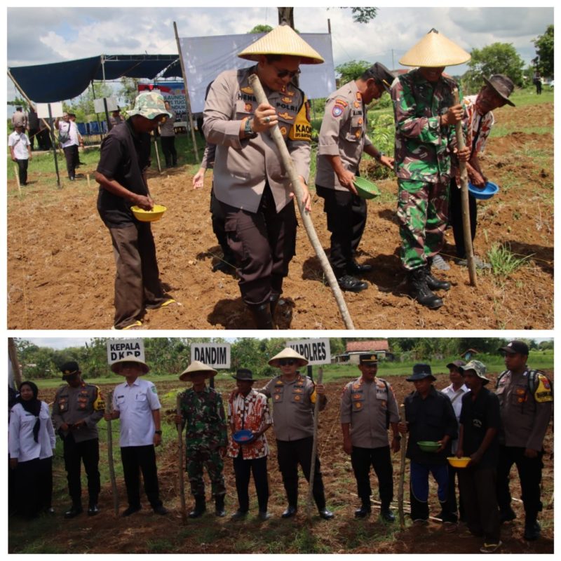 Foto Atas : Kapolres Sumenep AKBP Henri Noveri Santoso melaksanakan Gerakan Tanam Jagung sekaligus Peluncuran Gugus Tugas Polri untuk Ketahanan Pangan Nasional