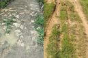 Foto : Kondisi jalan yang rusak dan tak tersentuh aspal