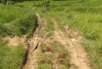 Foto : Kondisi akses jalan yang menghubungkan Dusun Kokon dan Desa Gendang Barat menuju Desa Kaloang rusak parah