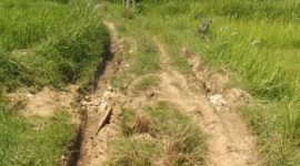 Foto : Kondisi akses jalan yang menghubungkan Dusun Kokon dan Desa Gendang Barat menuju Desa Kaloang rusak parah