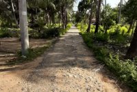 Foto : Kondisi jalan rusak Dusun Pangkalang, Desa Lapa Taman, Kecamatan Dungkek, Kabupaten Sumenep. 