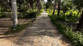 Foto : Kondisi jalan rusak Dusun Pangkalang, Desa Lapa Taman, Kecamatan Dungkek, Kabupaten Sumenep. 
