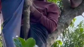 Foto: Pria paruh baya itu tewas seketika setelah tersengat listrik. 