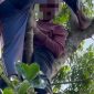Foto: Pria paruh baya itu tewas seketika setelah tersengat listrik. 