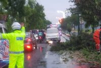 Foto: Petugas Satlantas Polres Sumenep bersama TNI dan petugas kebersihan mengevakuasi pohon tumbang di Jl. Trunojoyo untuk mengurai kemacetan.

