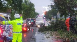 Foto: Petugas Satlantas Polres Sumenep bersama TNI dan petugas kebersihan mengevakuasi pohon tumbang di Jl. Trunojoyo untuk mengurai kemacetan.
