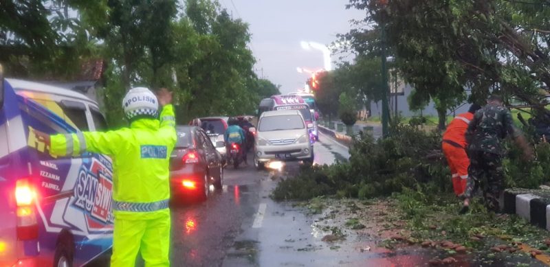 Foto: Petugas Satlantas Polres Sumenep bersama TNI dan petugas kebersihan mengevakuasi pohon tumbang di Jl. Trunojoyo untuk mengurai kemacetan.
