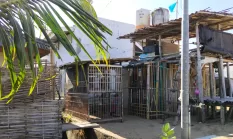Kandang Ayam di Kawasan UPPP Pasongsongan: Publik Pertanyakan Izin, Tuding Ada Perlakuan Istimewa