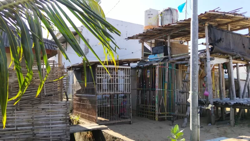 Foto: Bangunan kandang ayam yang berdiri di area UPPP Pasongsongan menjadi sorotan masyarakat.