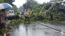 Foto: Warga bersama pengendara membersihkan pohon tumbang yang menutup jalan raya Desa Parsanga, Kecamatan Kota Sumenep, akibat hujan dan angin kencang, Senin (12/01/2026).