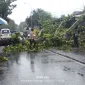 Foto: Warga bersama pengendara membersihkan pohon tumbang yang menutup jalan raya Desa Parsanga, Kecamatan Kota Sumenep, akibat hujan dan angin kencang, Senin (12/01/2026).