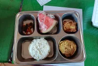 Foto: Menu makan bergizi gratis (MBG) yang diterima siswa, terdiri dari nasi, lauk, sayur, dan buah.